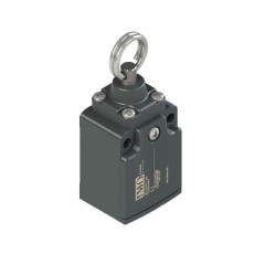 Limit Switch, Short Standard